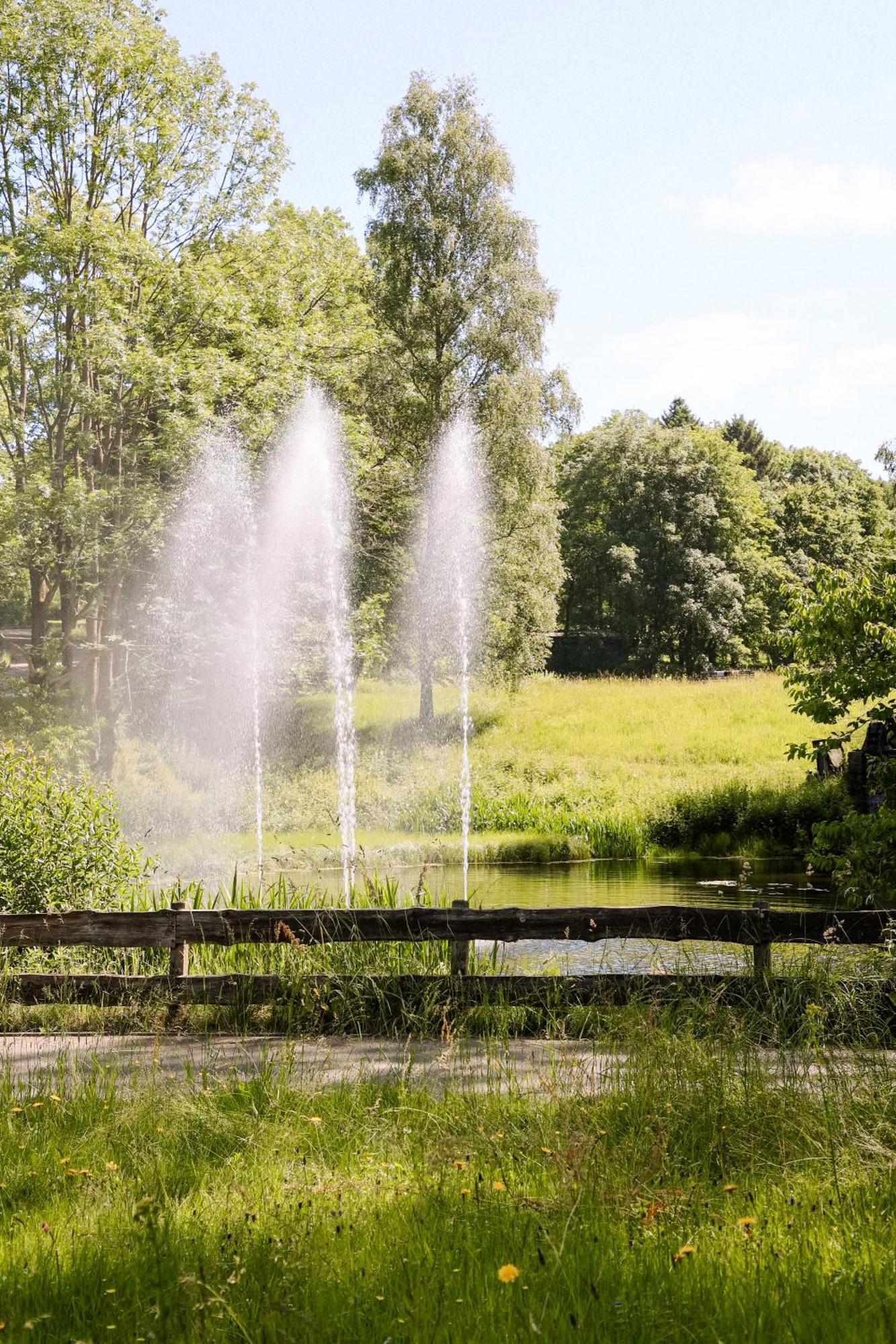 Apartment 540, Oberharz, Mit Schwimmbad Und Sauna ブラウンラーゲ エクステリア 写真